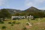 GL 0195 - 2 plots of Land 4,000m² each - Salanti - Ermionida